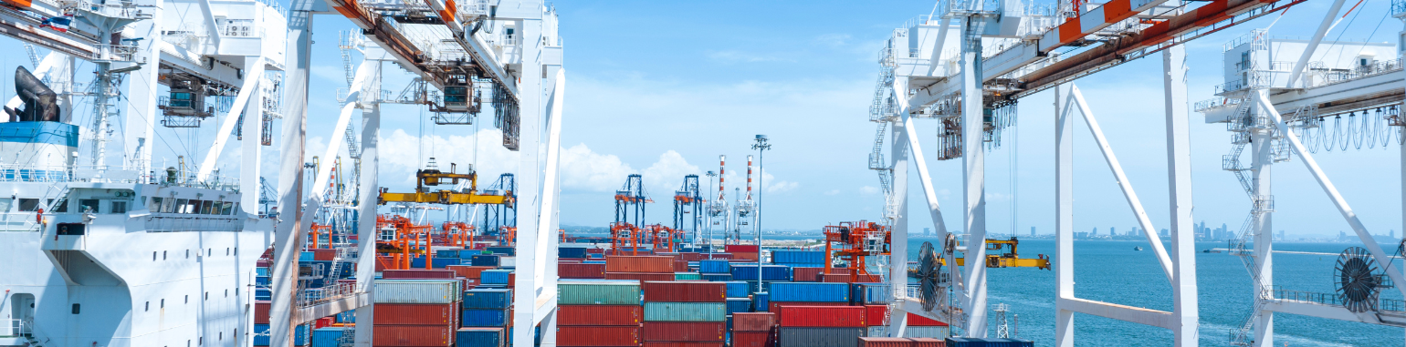 Logistics – Global Reach, Local Expertise 1